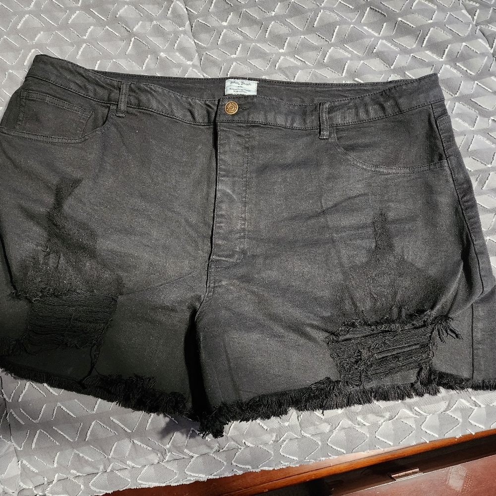 White Birch Black Shorts